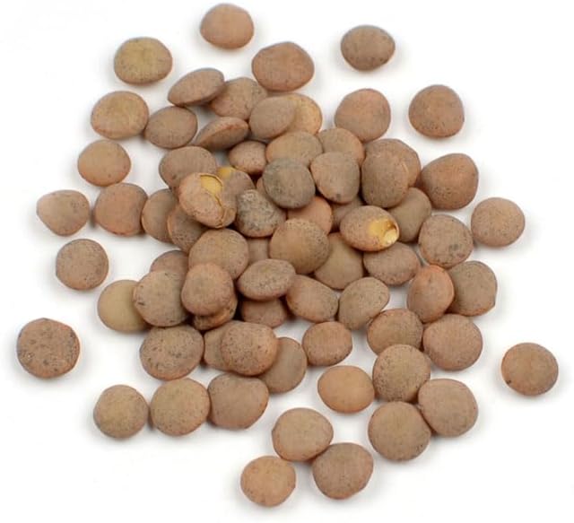 Brown Lentils (Spanish Pardina Lentils), 10 lb – Premium Mediterranean Whole Lentils, Firm Texture & Nutty Flavor, Bulk by Woodland Gourmet