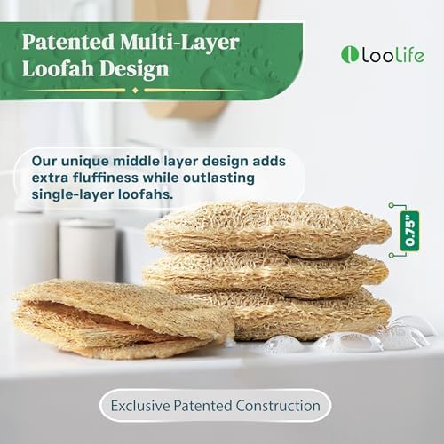 Natural Loofah Kitchen Sponge (3 Pack) - Natural Sponges for Dishes - Eco Friendly and Compostable Sponges - Biodegradable Plant Based Kitchen Dish Sponge - Plastic Free Dish Scrubber