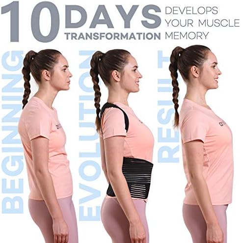 sicheer Posture Corrector for Women and Men Back Brace Straightener Shoulder Upright Support Trainer for Body Correction and Neck Pain Relief, Large(waist 39-41 inch)