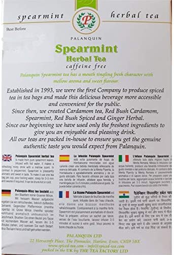 Palanquin Spearmint Tea (2 Boxes)