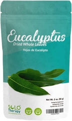 Eucalyptus Dried Whole Leaves, 2 oz, Hojas De Eucalipto, Eucalyptus Herbal Tea 2 oz, Product From India, Packaged in the USA