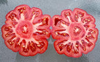 30 Costoluto Genovese Pomodoro Tomato Seeds, Heirloom Non-GMO, Low Acid, Indeterminate, Open-Pollinated, Productive from USA Solanum lycoperscium