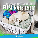 FunkAway Extreme Odor Eliminating Closet Sachet, Odor Absorbing Packet Ideal for Closets, Drawers, Hampers, Attics and Storage Spaces, Fresh Smell for Up to 90 Days