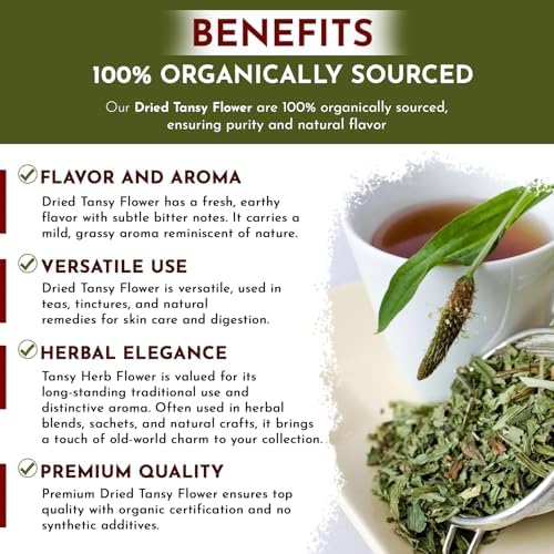 Organic Way Dried Tansy Flower Herb Tea Cut & Sifted | European Wild-Crafted | Organic & Kosher Certified | Vegan, Non GMO & Gluten Free | USDA Certified | Origin - Albania (4 Oz)