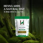 H&C 100% Pure Neutral Henna Powder/Colorless Henna/Senna Powder/Cassia Obovata (227g / (1/2 lb) / 8 ounces) For conditioning your hair without coloring.