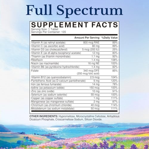 Vitalitown Multivitamin for Women & Men, with Iron, Zinc, Vitamin D3, A, C, B, E, 19 Key Nutrients, One Per Day, for Energy, Immune, Brain, Heart Support, 120 Tablets