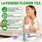 Lavender Flowers Tea Bags-120 Teabags, 2g/Bag, Made with 100% Natural Lavender Flowers. Helps with Relieve Fatigue and Antioxidation|Caffeine-Free|Sugar-Free|Gluten-Free|Vegan Eco-Friendly Tea Bags