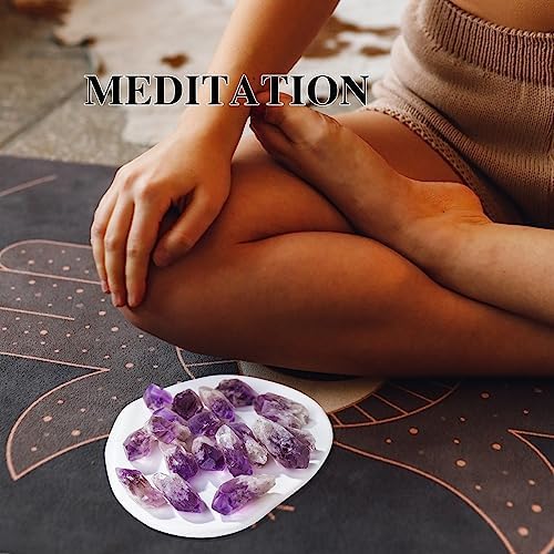 Apengshi 0.97 lb (440g) Natural Amethyst Crystal Points Irregular Rough Crystal Stone Raw Crystal Gemstones Bulk Chakra Stones Meditation Reiki Collect Handmade DIY