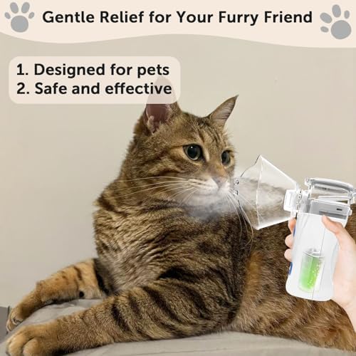 Cat Nebulizer for Breathing Problems