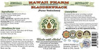 Hawaii Pharm Bladderwrack Alcohol-Free Liquid Extract, Bladderwrack (Fucus Vesiculosus) Glycerite Natural Herbal Supplement 2 oz