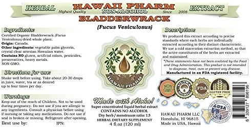 Hawaii Pharm Bladderwrack Alcohol-Free Liquid Extract, Bladderwrack (Fucus Vesiculosus) Glycerite Natural Herbal Supplement 2 oz
