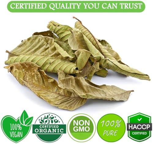 Cure Wid Pure 2oz/70+ Guava Leaves Organic, Non-GMO - Caffeine-Free Te de Hojas de Guayaba - Air-Dried,Hand-Picked,Additive,Sugar & Gluten-Free Guava Tea - 100% Natural Guava Leaf Tea
