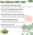 FreshDrinkUS, Premium 100+ Natural Guava Leaves, Whole Dried Leaves, 100% Pure, Natural Guava Loose Leaf Herbal Tea, No Additives, No Caffeine, Vegan