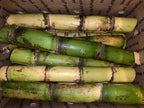 Fresh Green SugarCane Sticks Sugar Cane 5 lbs