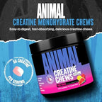 Animal Creatine Chews Tablets - Enhanced Creatine Monohydrate with AstraGin to Improve Absorption, Sea Salt for Added Pumps, Delicious and Convenient Chewable Tablets - Fruit Punch