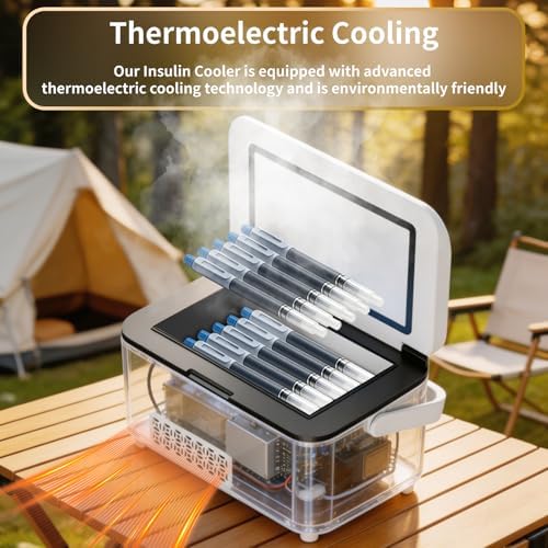 Portable Insulin Cooler Travel Box, Mini Drug Refrigerator with LCD Temp Display, 13600mAh Rechargeable Battery Diabetic Box with Handle, Insulin Travel Case for Home & Outdoor Use (Gray)