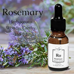 100% Pure Rosemary Essential Oil - Rosmarinus Officinalis - Pure and Natural Botanical Oils by 5 Elements Essential Oils - for use in Aromatherapy, Diffusers, Oil Burners - Home Fragrance (Rosemary)