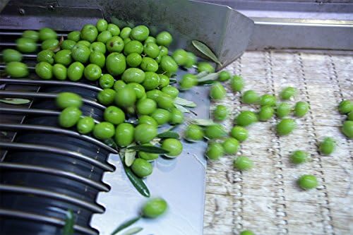 Gaea North America Olives Pit Green Snak Organic, 0.56 lb