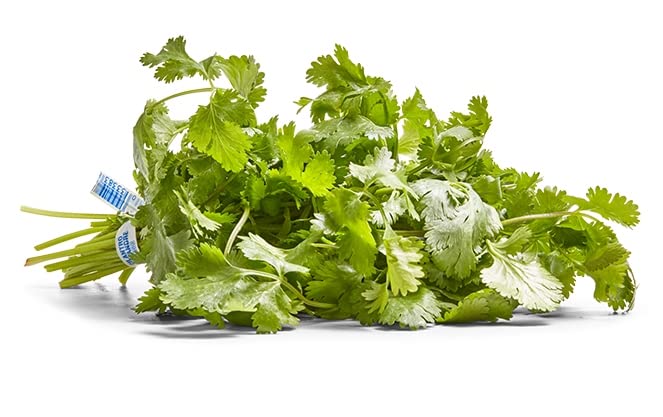 Herb Cilantro Organic, 1 Bunch
