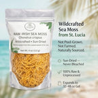 Satori Sea Raw Irish Sea Moss 4 oz – Wildcrafted & Sun-Dried – Harvested in St. Lucia – Dried Whole Chondrus Crispus