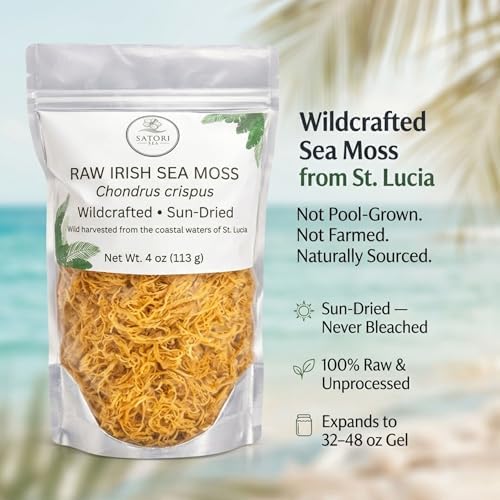 Satori Sea Raw Irish Sea Moss 4 oz – Wildcrafted & Sun-Dried – Harvested in St. Lucia – Dried Whole Chondrus Crispus