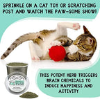 from The Field | Fine Ground Stalkless Catnip | Premium USA-Grown Catnip for Toys & Playtime | Fresh, Potent, Non-Toxic, Eco-Friendly | Safe for Kittens & Cats | Resealable 1.5 Oz Bag