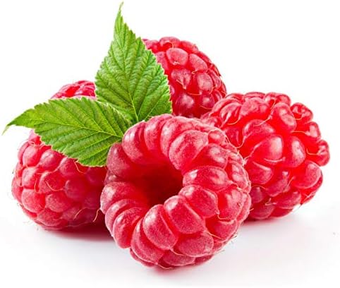 Teisseire French Syrup all natural Raspberry Syrup 20 fl.oz