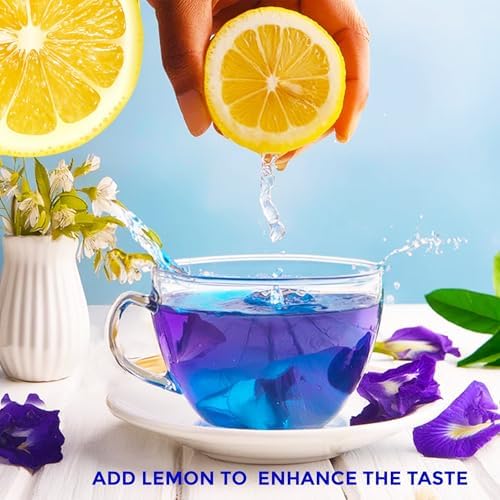 Danodia Foods Blue Pea Tea with Wild Green Tea & Cinnamon (2.5oz/70g) | Naturally Caffeine-Free Herbal Infusion Butterfly Tea | Color-Changing | Warm & Aromatic | Hot & Iced | No Additives