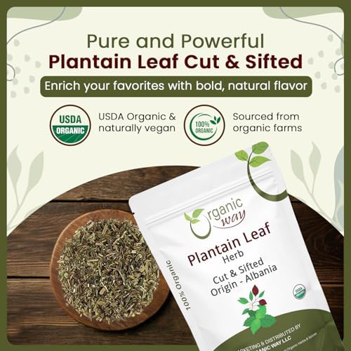 Organic Way Plantain Leaf Cut and Sifted - Herbal Tea | European Wild-Harvest | Organic & Kosher Certified | Non GMO & USDA Certified - Origin Albania (16 Ounce Pack)