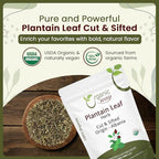 Organic Way Plantain Leaf Cut and Sifted - Herbal Tea | European Wild-Harvest | Organic & Kosher Certified | Non GMO & USDA Certified | Origin - Albania (4 Ounce Pack)