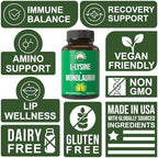 Peak Performance L Lysine 1000mg + Monolaurin 500mg High Potency Supplement for Lips, Skin, & Immune Support - L-Lysine 2-in-1 Bioavailable Supplements for Men and Women - 60 Capsules