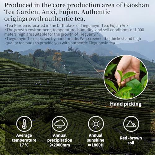 Yuexi Tie Guan Yin Oolong Tea Loose Leaf Tieguanyin Tea Iron Goddess of Mercy Oolong Chinese Tea High Mountain Strong Orchid Aroma Fujian Anxi Central Area 铁观音 安溪铁观音 乌龙茶 茶叶 5.29oz/150g