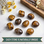 Super Large Polished Tigers Eye Healing Crystal Stone – 1 Pc 1.2" Worry Stone for Anxiety, Pocket Palm Gemstone, Handpicked Natural Tumbled Rock for Meditation, Reiki, Chakra, Home Decor
