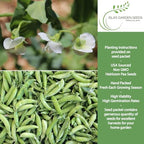 Little Marvel Pea Seeds (Pisum sativum) – 50+ Non-GMO Heirloom Seeds for Planting, Compact Bush Variety with Sweet Green Pods, by Isla’s Garden Seeds, Gift Idea for Home Gardeners