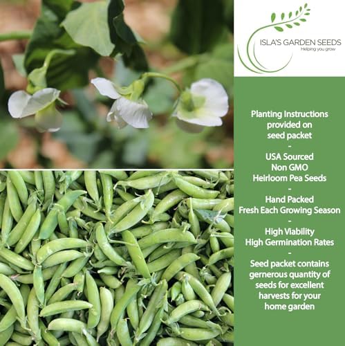 Little Marvel Pea Seeds (Pisum sativum) – 50+ Non-GMO Heirloom Seeds for Planting, Compact Bush Variety with Sweet Green Pods, by Isla’s Garden Seeds, Gift Idea for Home Gardeners