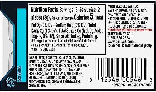 Dentyne Ice, Winter Chill Flavor, Easter Candy, Easter Basket Essentials Stuffers for Kids and Adults, Sugar-Free Chewing Gum, 9 Packs of 16 Pieces (144 Total)