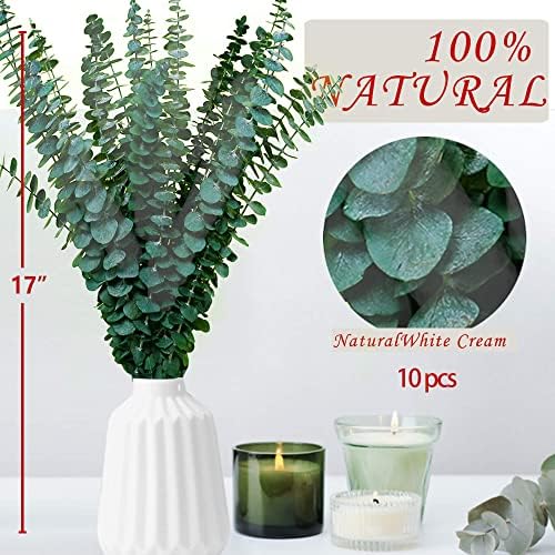 10Pcs Dried Eucalyptus Stems for Shower 17" Real Natural Hanging Eucalyptus Stems, Real Fresh Leaves Branches for Vase Filler, Wedding, Bathroom Decor, Home Decor, Dried Flowers Arrangement Decor