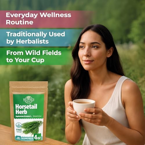 4 oz. Horsetail Herb Horsetail Tea Cola De Caballo Hierba Horse Tail (Equisetum Arvense) - 113g Herb Tea Horse Tail