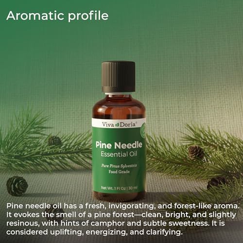 Viva Doria Pine Needle Essential Oil, 100% Pure, Natural, Pine Essential Oil, Undiluted, for Aromatherapy | Food Grade, 30 mL (1 Fluid Ounce)