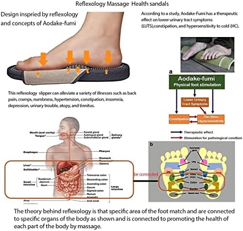 Acupressure Reflexology Bathroom Massage Slippers Shoes Sandals for Men& Women Home Shock Absorbing, Therapy Promoting Blood Circulation Myofascial Release Trigger Point