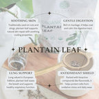 Elanen Naturals Organic Plantain Leaf 4 oz. (113g), USDA Certified Organic Dried Broadleaf Plantain Tea, Dried Plaintain Herb, Cut & Sifted