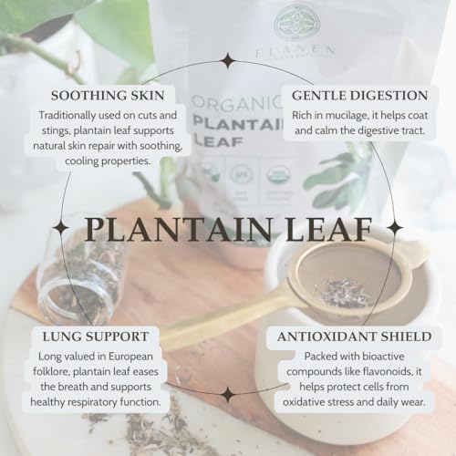 Elanen Naturals Organic Plantain Leaf 4 oz. (113g), USDA Certified Organic Dried Broadleaf Plantain Tea, Dried Plaintain Herb, Cut & Sifted