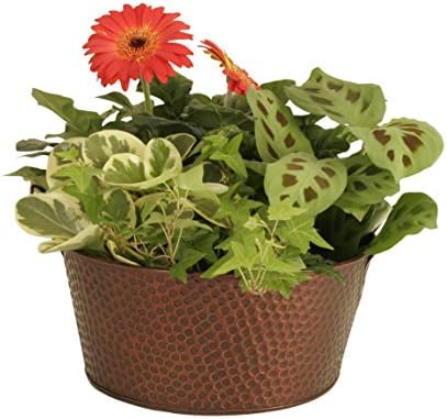 Wald Imports Copper Hammered Metal 10.5" Beverage Bucket/Pail/Tub