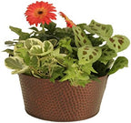 Wald Imports Copper Hammered Metal 10.5" Beverage Bucket/Pail/Tub