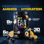 HOSSTILE SILO[9] EAA + Hydration Powder – Essential Amino Acids with Electrolytes, EAA BCAA Intra Workout Powder & Post Workout Recovery, Blueberry Lemonade, 30 Servings