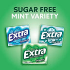 Extra Long Lasting Sugar Free Chewing Gum, Polar Ice, Spearmint & Peppermint Flavors, Variety Box, 18 Count