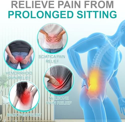 Seat Cushion for Office Chair, Car and Wheelchair Use, with Lumbar Support Pillow and Memory Foam Coccyx Cushion for Tailbone, Back, Sciatica, Ergonomic seat Cushion