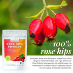powbab Rose Hips Powder from 100% Wild Organic Rosehip. Premium Rosa Rubiginosa. Seedless Ground Rosehips from Whole Dried Rose Hips. No Added Sugar. Fair Trade (3.5 oz)