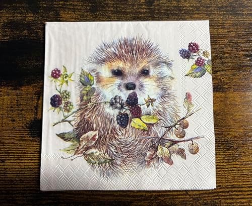 IHR Ideal Home Range Cocktail Napkins Disposable 3-Ply Paper Party Napkin Pack, 5" x 5", Forest Hedgehog, 20-Count