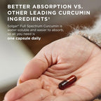 Solgar Full Spectrum Curcumin - 105 LiCaps - Superior Absorption - Brain, Joint & Immune Health - Vegan, Gluten-Free, Non-GMO, Dairy Free - 105 Servings
